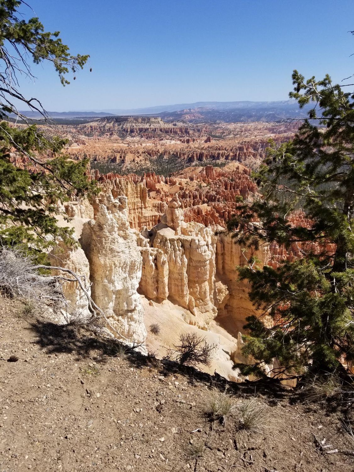 Bryce Point to Inspiration Point 